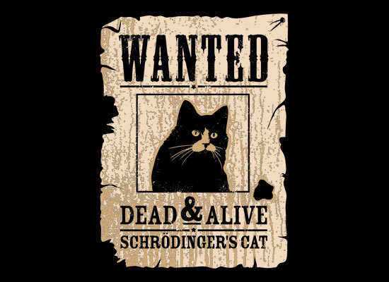 Schroedinger's Cat