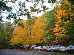 IMG_0146 1