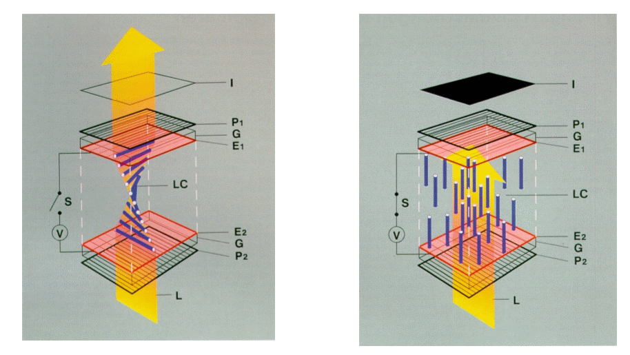 LCD schematic